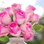 Consigli per la cura delle rose in autunno